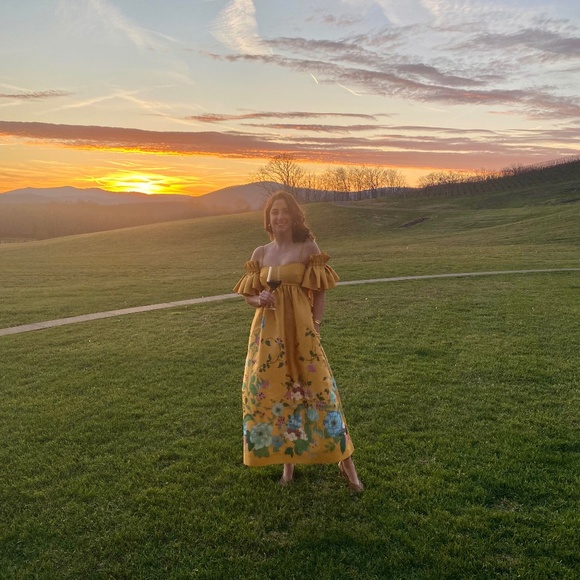 Alemais Dana Midi Dress - Picture 3 of 6